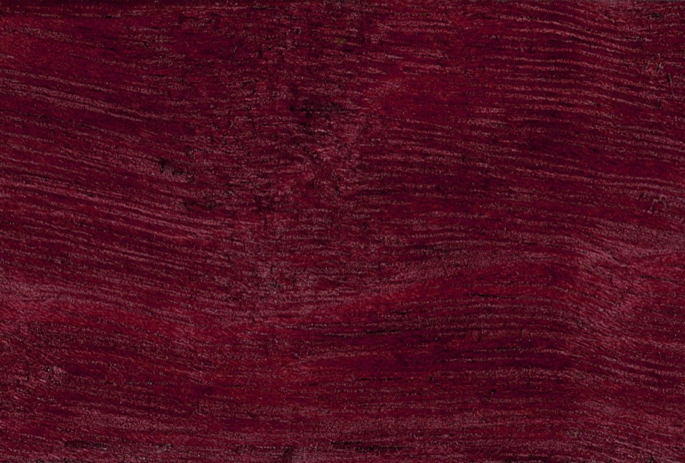 Purpleheart (Amaranth) bestimmen: Peltogyne spp.